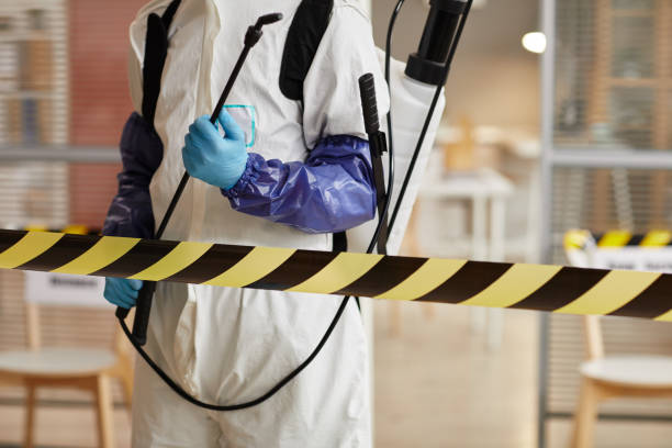 Professional Sewage Cleanup technician working in Hudson, MI